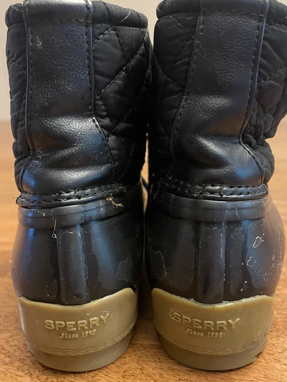 Sperry rain boots